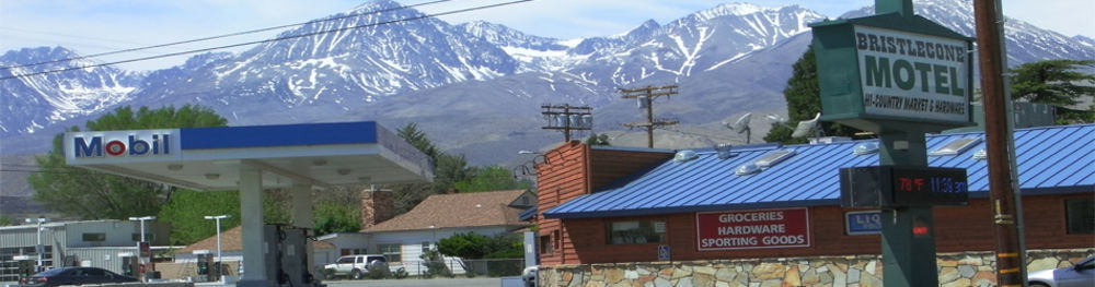 Bristlecone Motel บิกไพน์ ภายนอก รูปภาพ